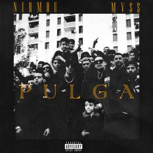Album Pulga (Explicit) from Nirmou
