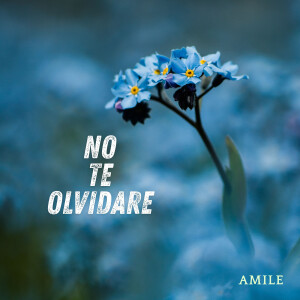 Album No Te Olvidare from AMILE