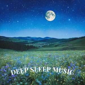 Album Midnight Sleep Under the Summer Sky from Deep Sleep Music