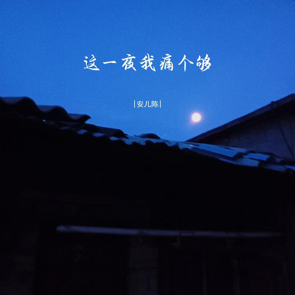 这一夜我痛个够 (DJ彭锐版伴奏)