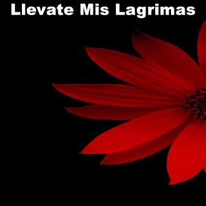 收听Manny Jhovanny的Llevate Mis Lagrimas歌词歌曲