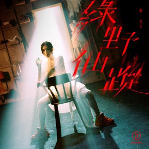 收听刘君冬的绿野仙踪歌词歌曲