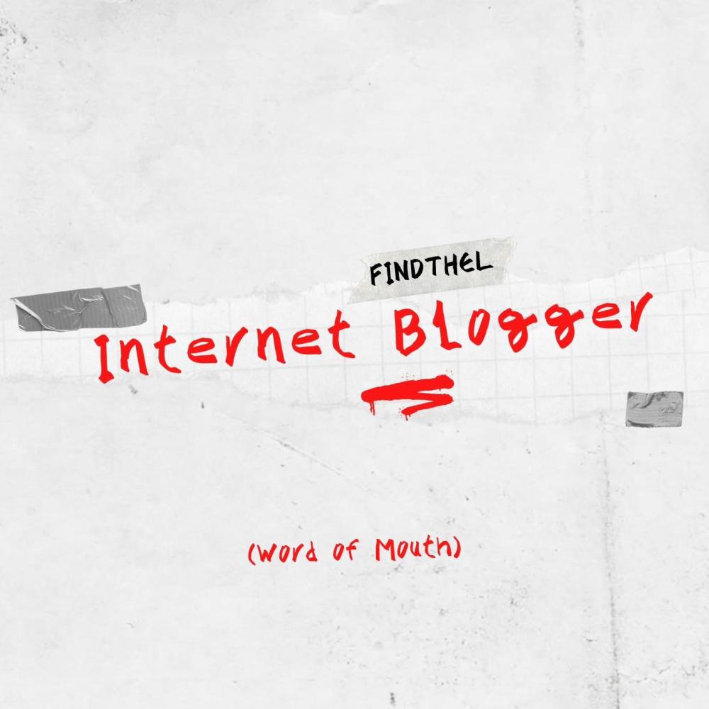Internet Blogger (Word of Mouth)