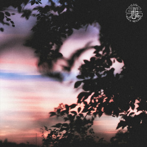 Album Morning Light from MAS