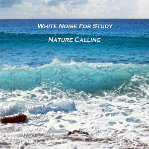 Dengarkan lagu Nature's Peaceful Sounds nyanyian 네이쳐콜링 dengan lirik