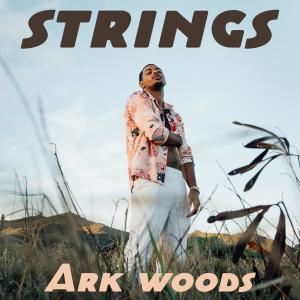 Listen to Strings song with lyrics from Ark Woods