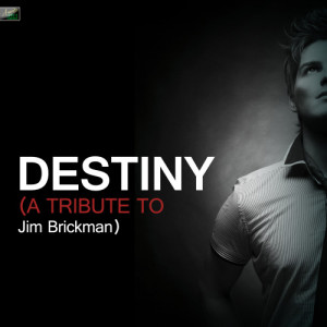ดาวน์โหลดและฟังเพลง Destiny (A Tribute to Jim Brickman) พร้อมเนื้อเพลงจาก Ameritz Tribute Standards