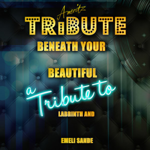 收聽Ameritz Top Tracks的Beneath Your Beautiful (A Tribute to Labrinth and Emeli Sande)歌詞歌曲