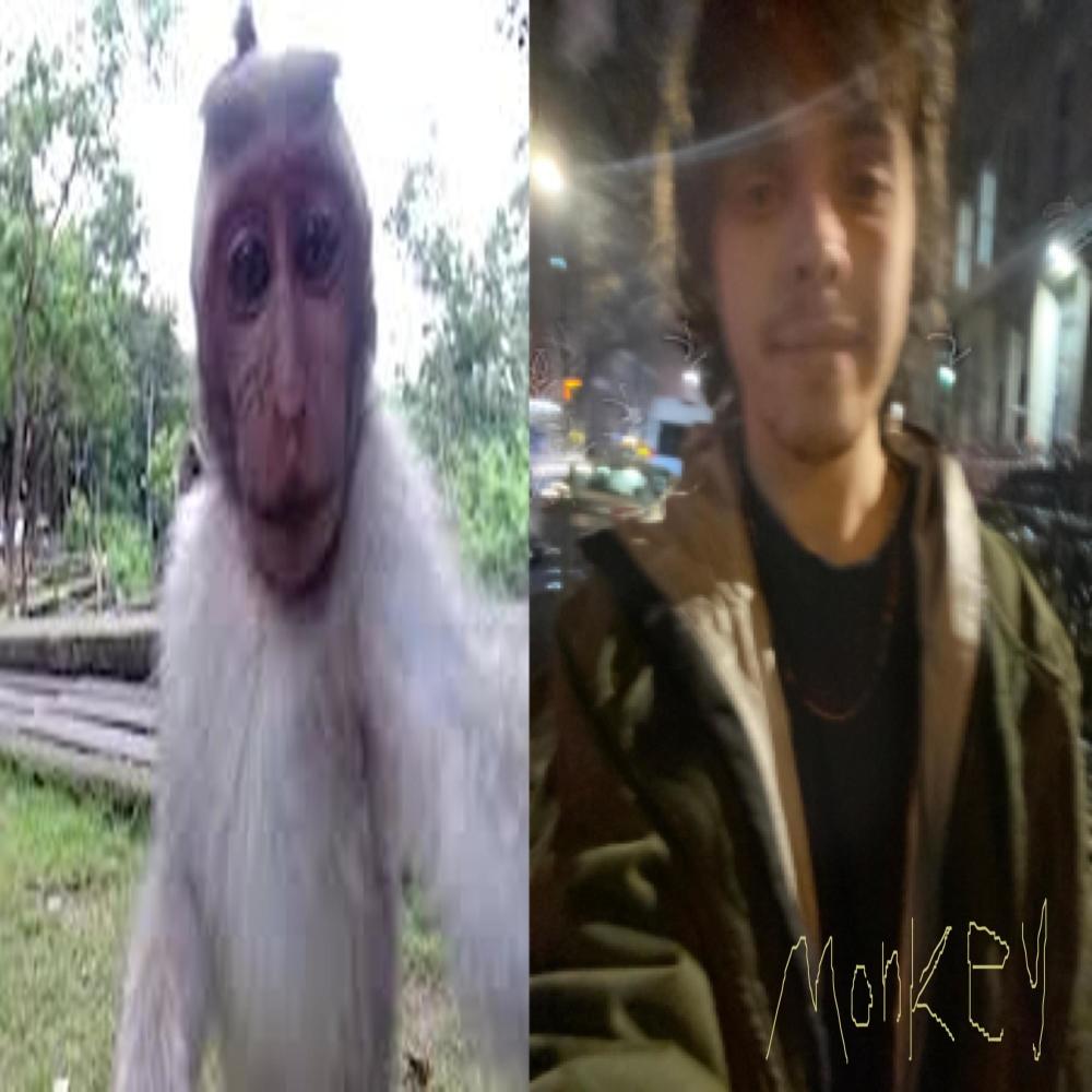 Monkey 3 (ft.1 Monkey, 3 Monkey, 4 Monkey) (feat. Marlon DuBois, Milkreset & Ricky Chix)