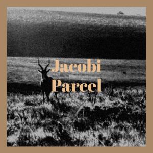 Listen to Jacobi Parcel song with lyrics from Stuie Tman