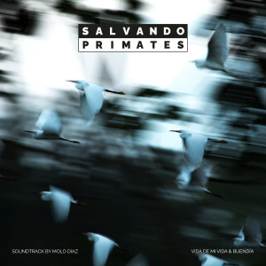 收聽Molo Díaz的Vida de mi Vida - Salvando Primates歌詞歌曲