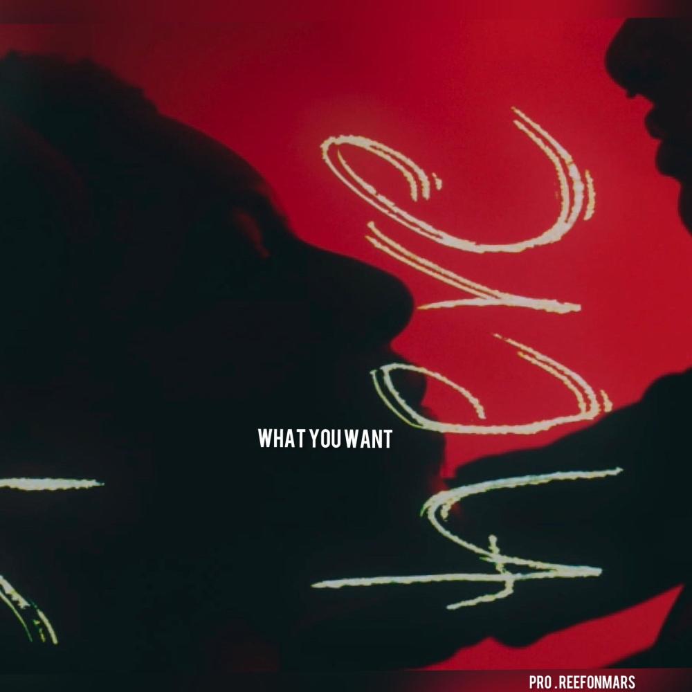 WHAT YOU WANT
