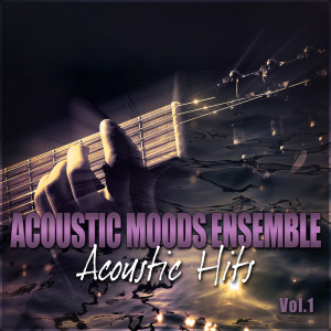 Listen to Walk On By song with lyrics from Acoustic Moods Ensemble