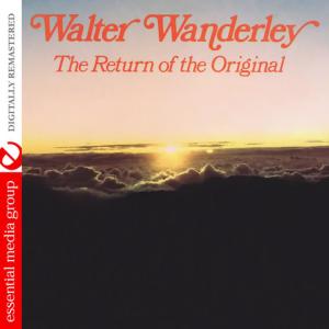 ดาวน์โหลดและฟังเพลง Forgetting You พร้อมเนื้อเพลงจาก Walter Wanderley