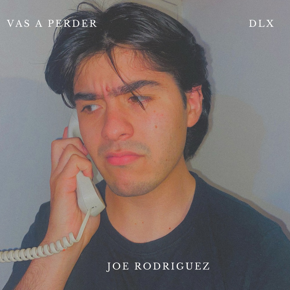 Vas a Perder! (Instrumental)