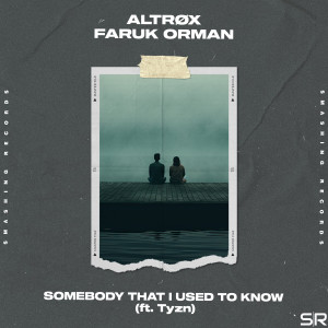 Faruk Orman的专辑Somebody That I Used to Know