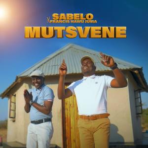 ดาวน์โหลดและฟังเพลง Mutsvene พร้อมเนื้อเพลงจาก Sabelo Mkhuhlani
