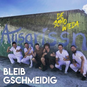Listen to Bleib gschmeidig (Ausgrissn) song with lyrics from DeSchoWieda
