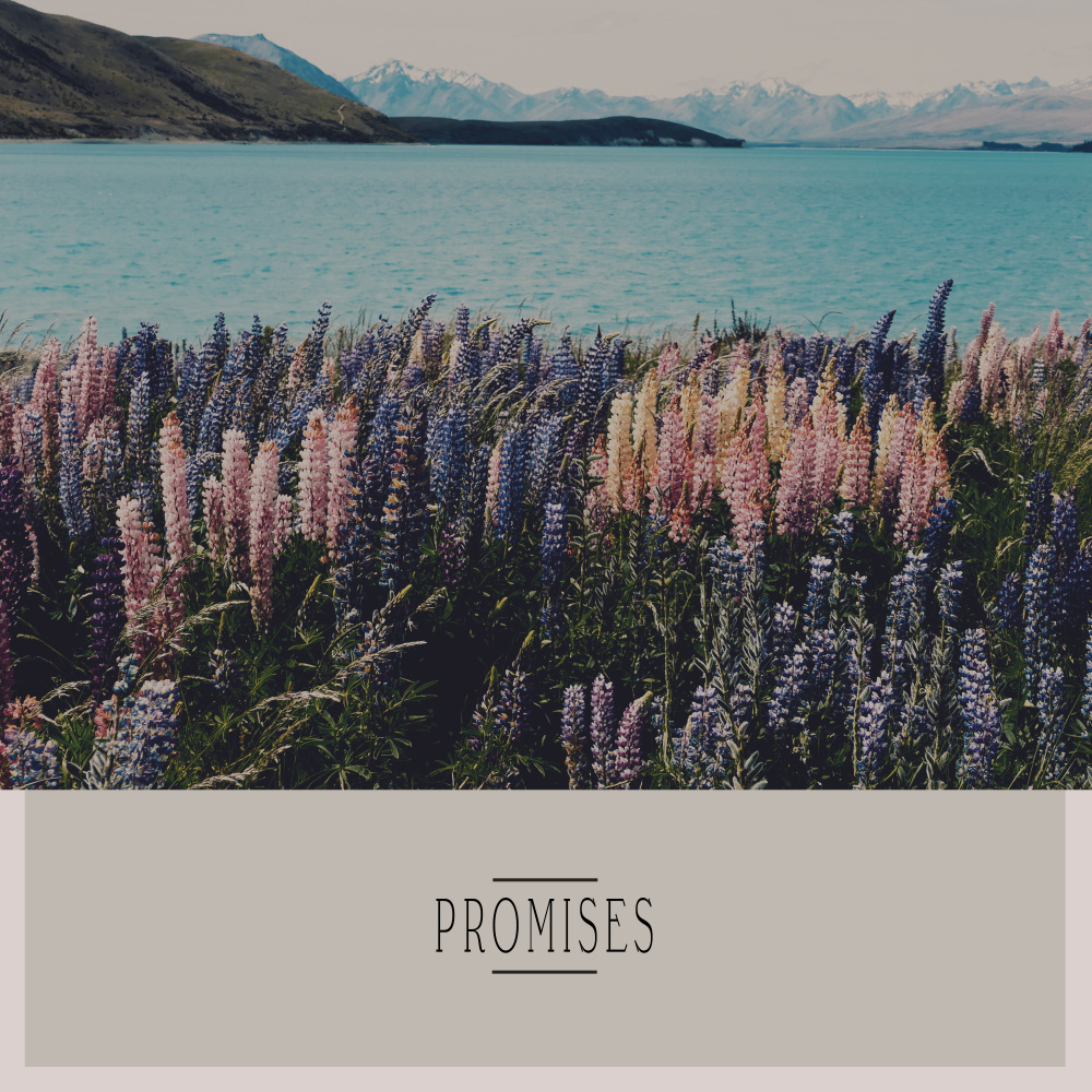 I Promise