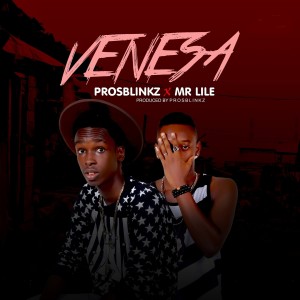Album Venesa from Mr Lile