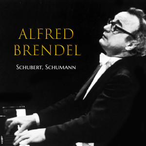 Listen to Fantasiestücke in D-Flat Major, Op. 12: III. Warum? song with lyrics from Alfred Brendel