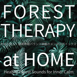 FOREST THERAPY at HOME ~ Healing Forest Sounds for Inner Calm dari 寝落ちする自然音ヒーリング音楽