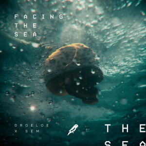 Listen to Facing the Sea song with lyrics from Droeloe