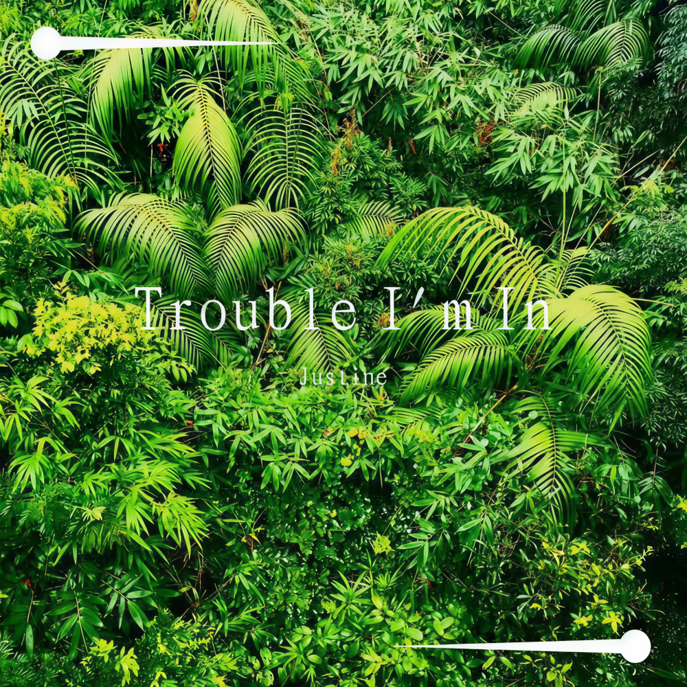 Trouble I'm In（翻自 Twinbed）