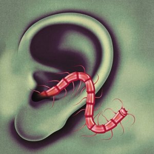 ดาวน์โหลดและฟังเพลง The Poem พร้อมเนื้อเพลงจาก Thee Oh Sees