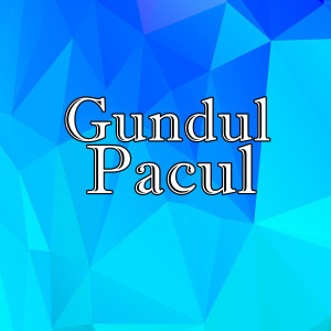 อัลบัม Gundul Pacul ศิลปิน Mus Mulyadi