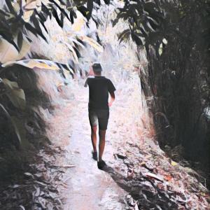 收聽Lifondi的Light Changes歌詞歌曲