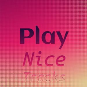 Album Play Nice Tracks from Various