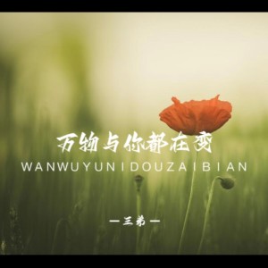 Listen to 万物与你都在变 (cover: 芩茵ing) (完整版) song with lyrics from 三弟