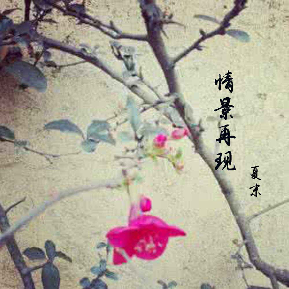 情景再现 (伴奏)