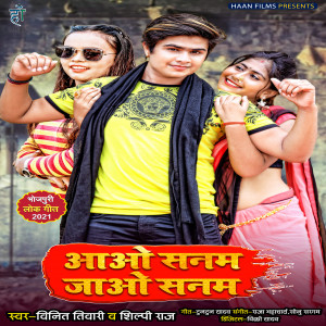 收听Vineet Tiwari的Aao Sanam Jao Sanam歌词歌曲