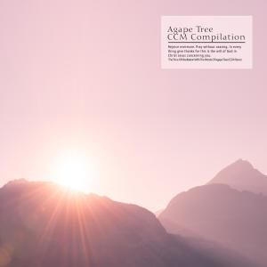 Various Artists的專輯The Time Of Meditation With The Words Of Agape Tree (CCM Piano)