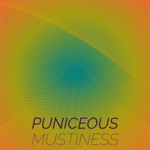 Listen to Tremendous Radiant song with lyrics from Parid Hins