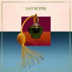 ดาวน์โหลดและฟังเพลง Jetplane พร้อมเนื้อเพลงจาก Why Bonnie