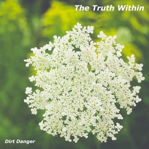 Album The Truth Within from Dirt Danger