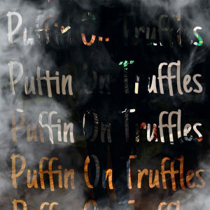 Spinabin的專輯Puffin On Truffles (Explicit)