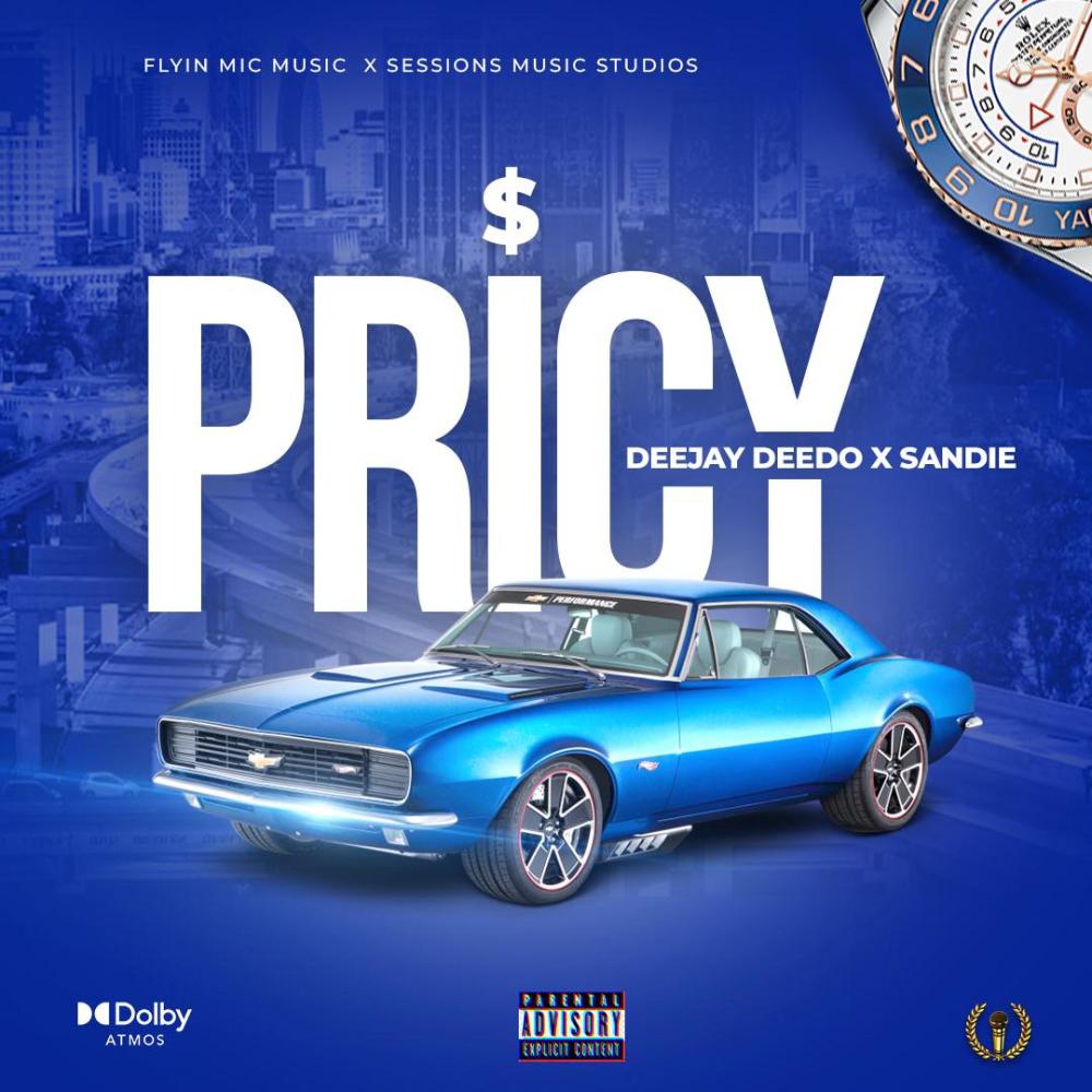 PRICY (feat. Sandie) (Explicit)