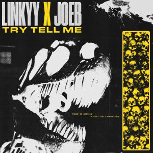 Listen to TRY TELL ME song with lyrics from Joeb