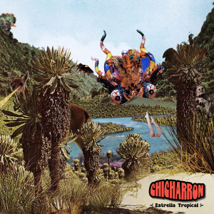 Listen to Curando las penas song with lyrics from Chicharrón