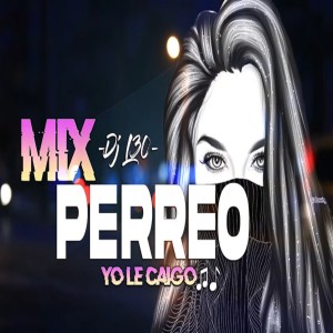 Mix PERREO YO LE CAIGO