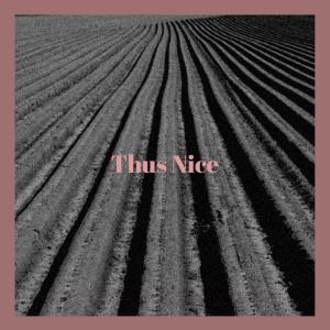 Various Artists的專輯Thus Nice