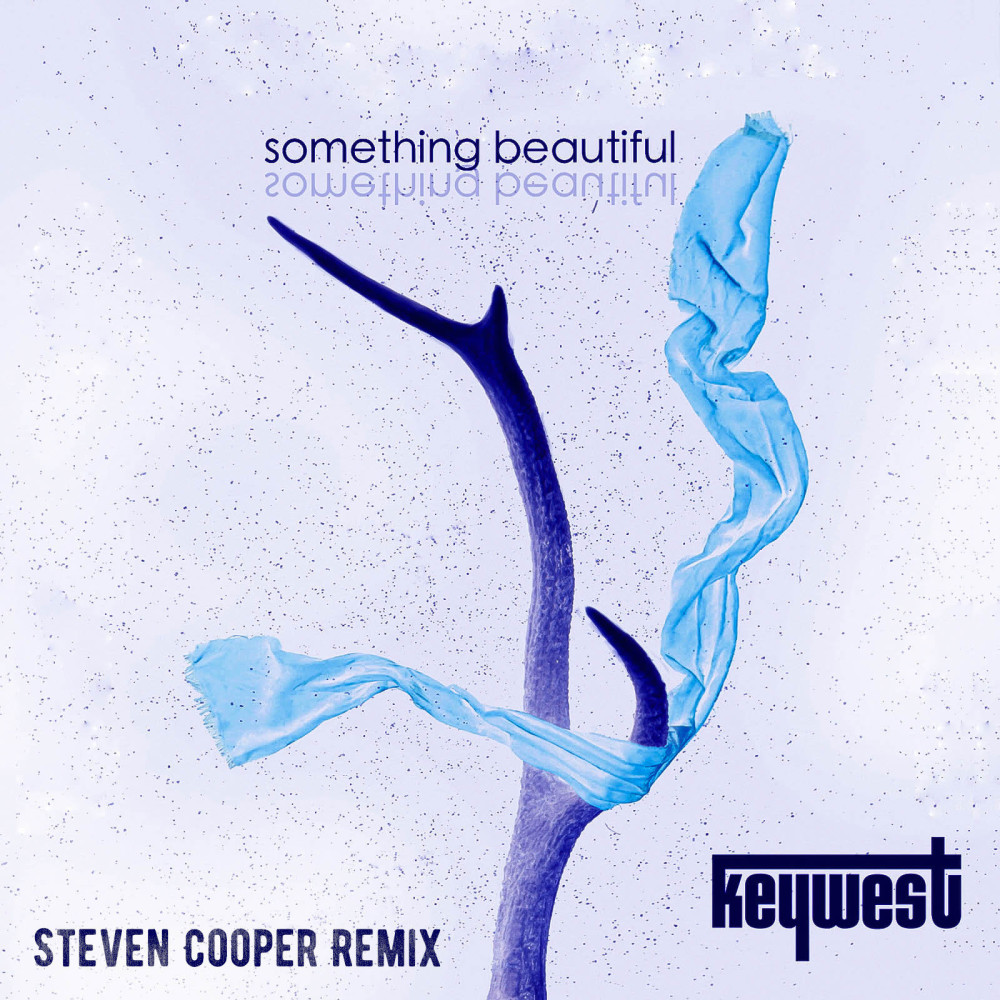 Something Beautiful (Steven Cooper Remix)