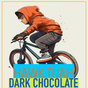 Hawk Tuah的專輯Dark Chocolate (Explicit)