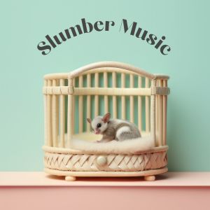 Baby Music的专辑Slumber Music
