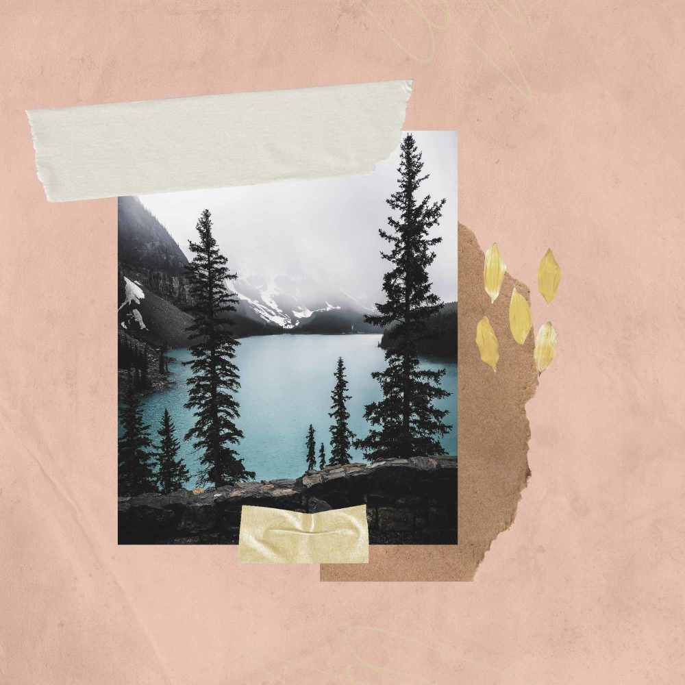 Tasteful Ambiance for Deep Favorites