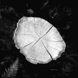 Listen to In the Androgynous Dark song with lyrics from Brambles